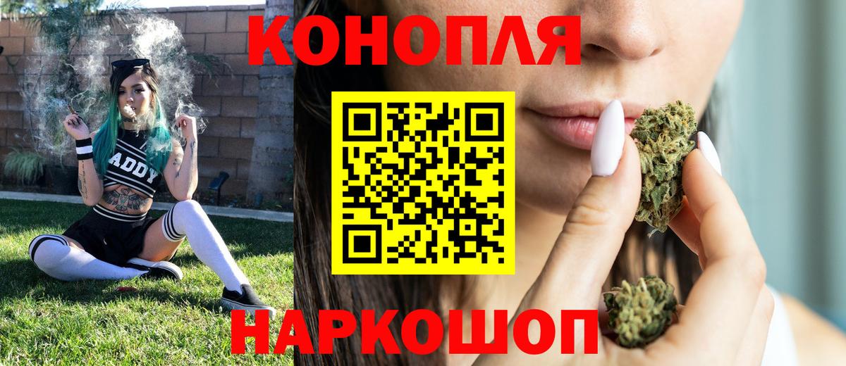 Канабис планчик Грозный